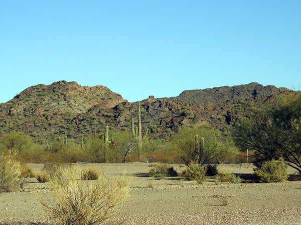 Desertview1